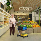 Chariot de courses pliable, chariot d'épicerie pliable avec roues et caisse de rangement amovible, chariot utilitaire portable à 2 niveaux pour la maison, les courses, le supermarché