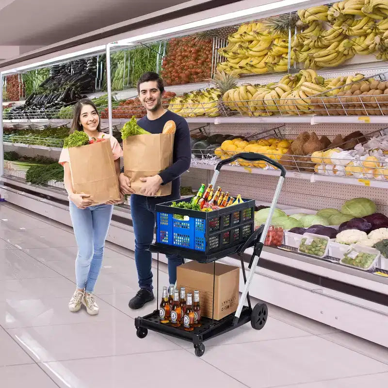 Chariot de courses pliable, chariot d'épicerie pliable avec roues et caisse de rangement amovible, chariot utilitaire portable à 2 niveaux pour la maison, les courses, le supermarché