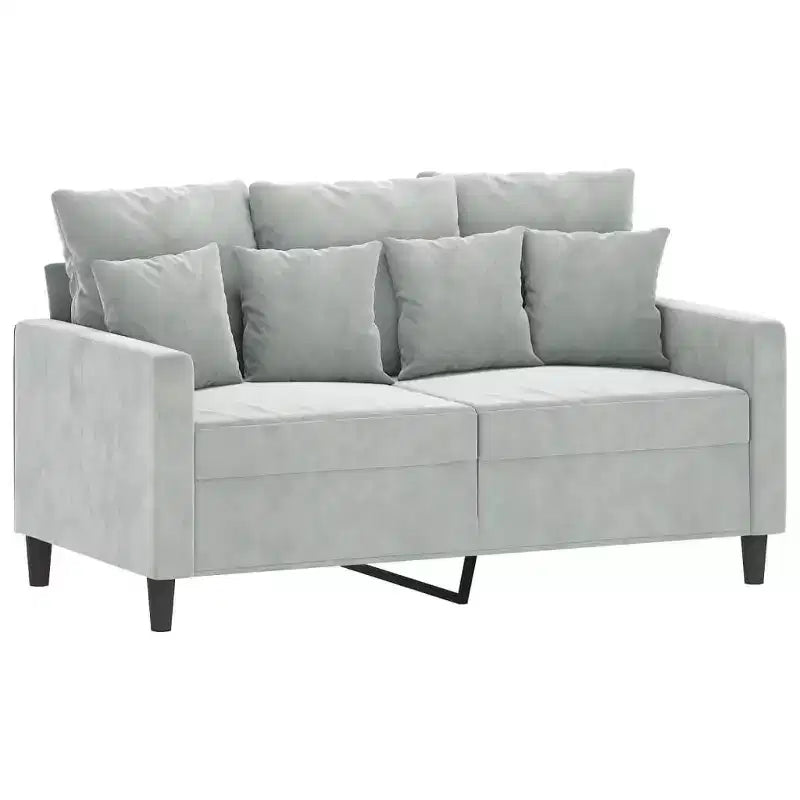 Ensemble canapé 2 places avec coussins en velours gris clair